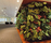 Plant Walls | Greenworks