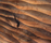 VLI001x2 | Virtuell