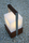 Moon Soon | TRADEWINDS