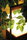 Moon Soon | TRADEWINDS
