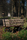 Wagon + Basket | TRADEWINDS