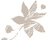 My Nature | Villeroy & Boch