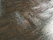 Lignite | Tagina