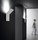 Plasma | Pujol