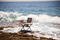 SeaX | DEDON