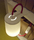 Lightbook Library Lamp | designheure