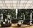 Cape West | Driade