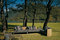 FENCE | Roda