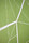 Fold | Svensson Markspelle