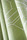 Fold | Svensson Markspelle