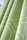 Fold | Svensson Markspelle