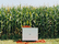 Minikitchen | Boffi