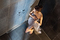 Linear floor drain CeraLine | DALLMER