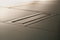 Linear floor drain CeraNiveau | DALLMER