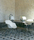 Mon | Atelier Pfister