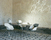 Wila | Atelier Pfister