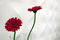 3DWalldecor | 3DWalldecor