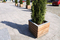 florium | mmcité
