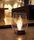 EcoSmart™ Bulb | EcoSmart™ Fire