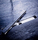TECEdrainline shower channels | TECE
