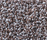Corale Teppich | Kvadrat
