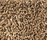 Corale Teppich | Kvadrat