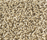 Corale Teppich | Kvadrat