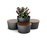 D Planter | LAB23