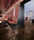 Workshop | Mirage
