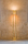 Note | ALMA LIGHT