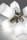 Tiny | ALMA LIGHT