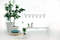 Porcelain | Fambuena