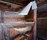 PIT Out | Domus