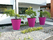 New Pot | Serralunga