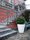 New Pot | Serralunga