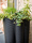 The Vases | Serralunga