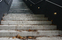 EB133 | Ayal Rosin