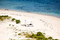 City Camp | DEDON
