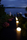 Eggy Pop | Cph Lighting
