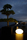 Eggy Pop | Cph Lighting