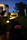 Eggy Pop | Cph Lighting