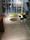 Ginza | INALCO