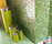 Aurore | Mosaico+