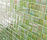 Aurore | Mosaico+