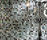 Cromie | Mosaico+