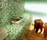 Cromie | Mosaico+