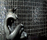 Onde 23x48 | Mosaico+