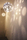 Planet | dutchglobe