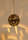 Planet | dutchglobe