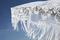 Dentelle | Sywawa